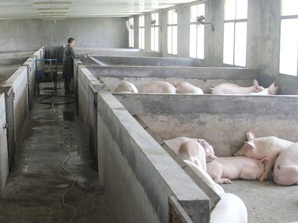 �������(xi��ng)Ŀ